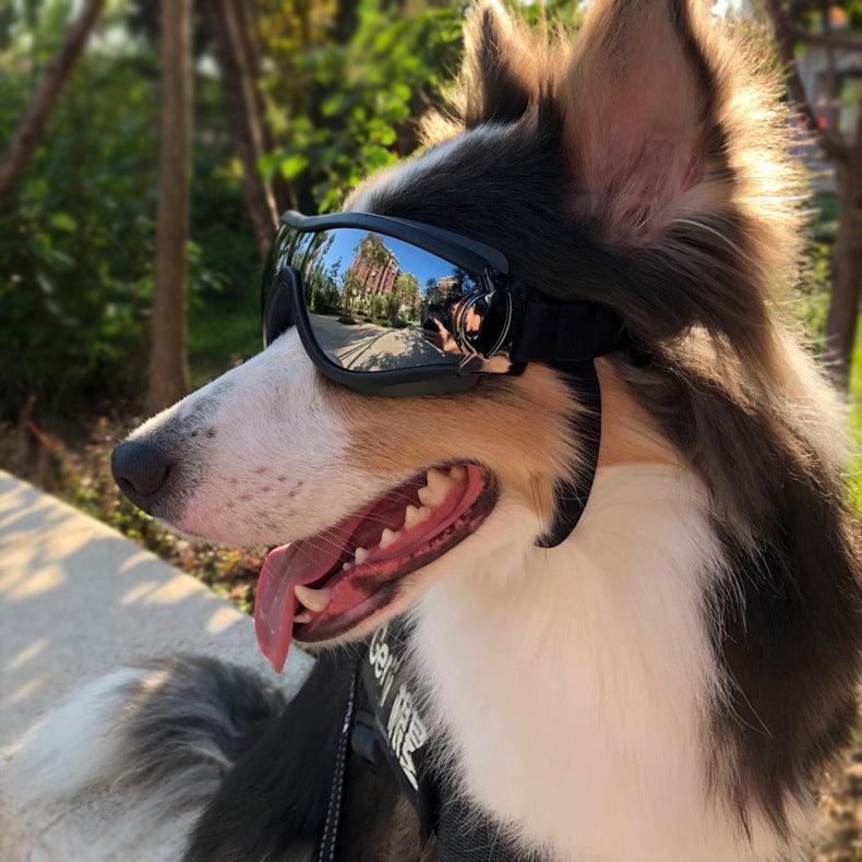 Pet Glasses Dog Sunglasses Law Fighting Supplies Strange Cat Sunglasses Small Dog Goggles Gold Chain Photo Accessories - amazitshop