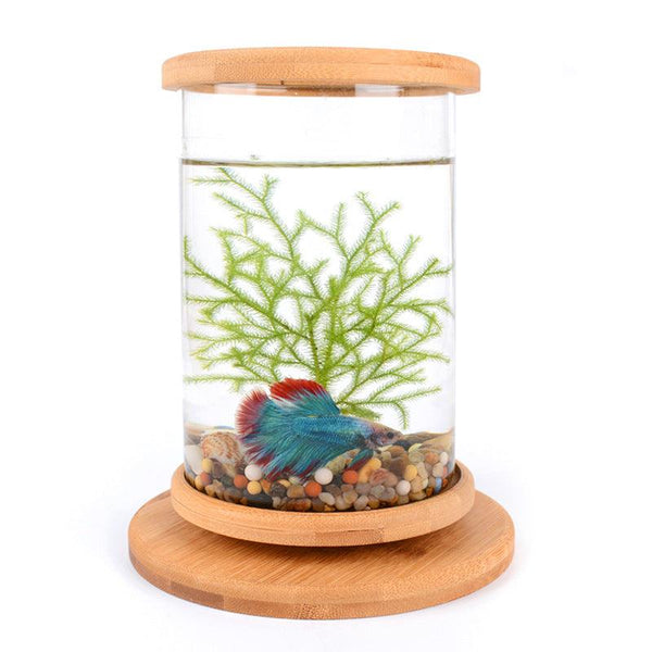 Small Office Glass Aquarium Bamboo Base Mini Fish Tank Decoration Fish Bowl - amazitshop