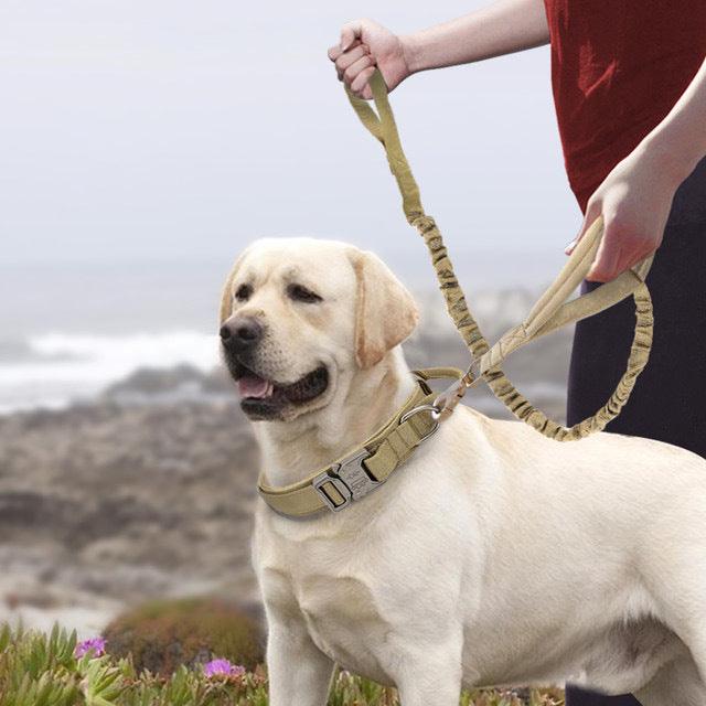 Nylon Dog Collars Large And Medium-sized Dogs Pet Collars - amazitshop