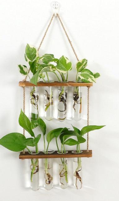 Wall Hanging Terrarium Flower Glass Planter Propagator for Plant Garden - amazitshop