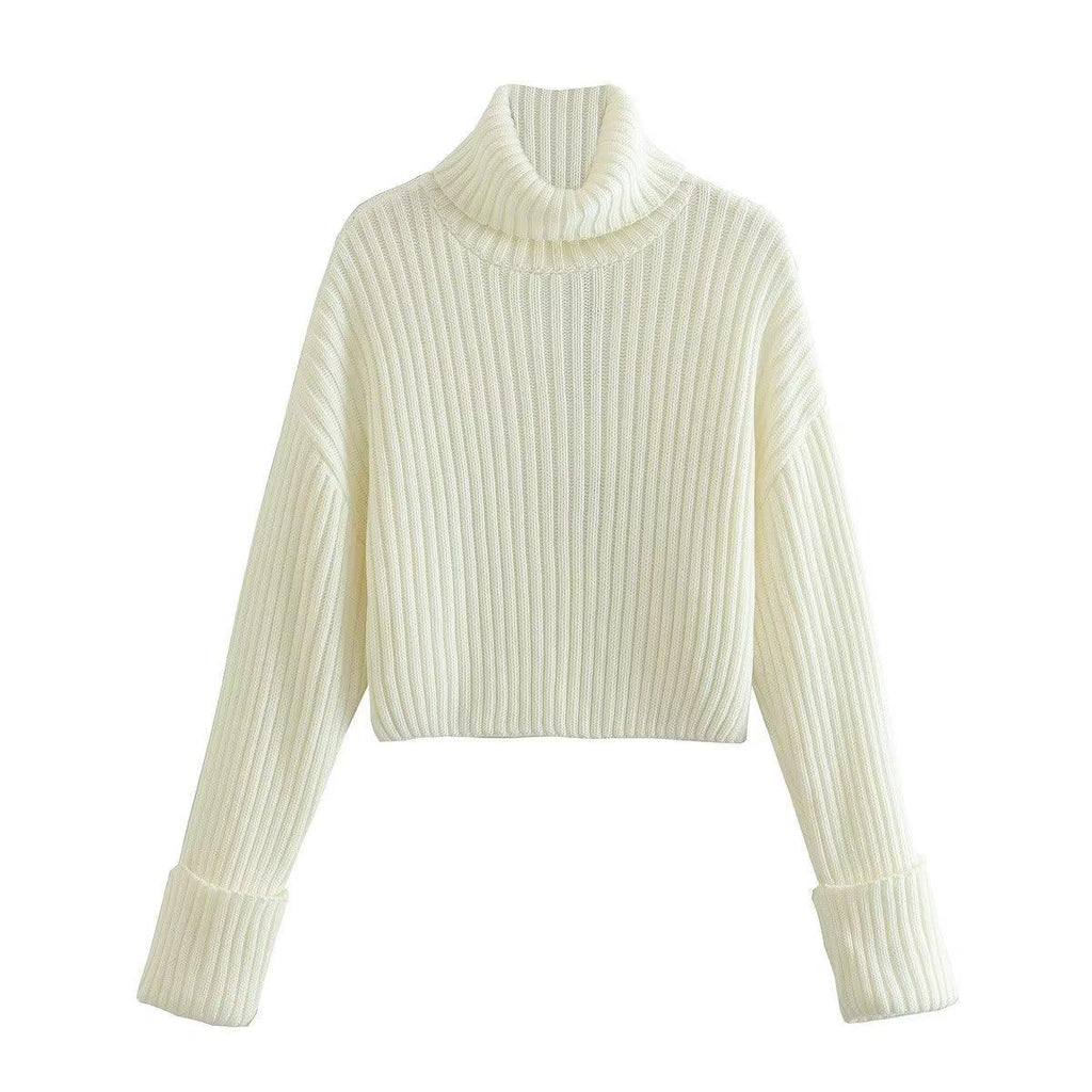 European And American Style Women's Ribbed Turtleneck Sweater Women - amazitshop