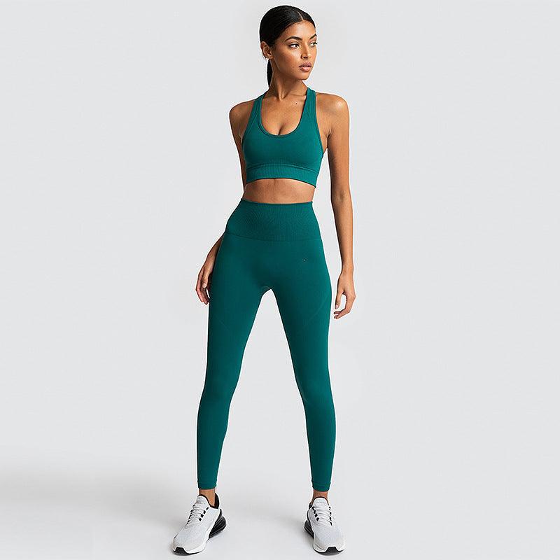 Seamless Gym Set Nylon Woman Sportswear - amazitshop