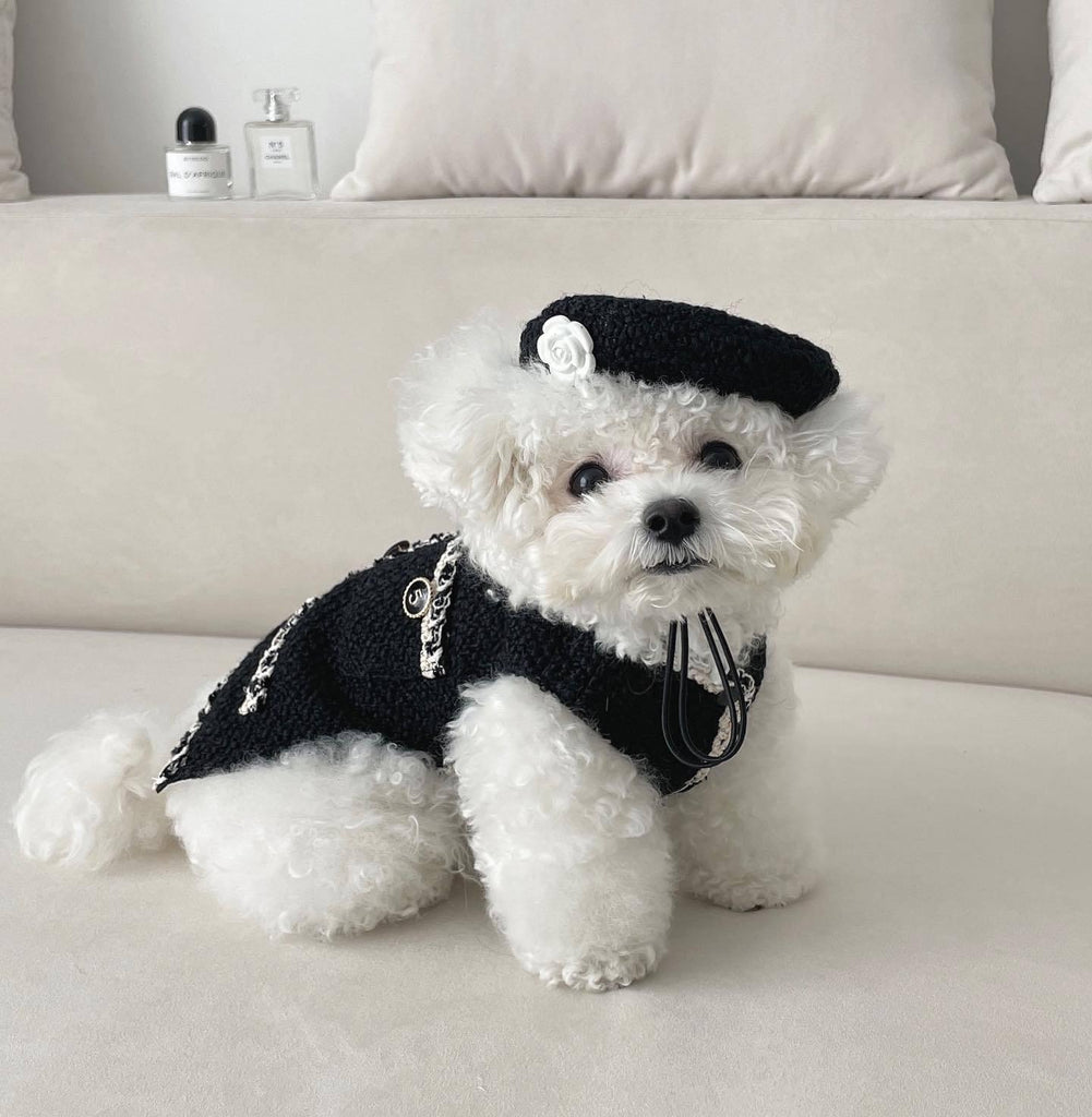 Pet Dog Cat Accessories Knitted Hat - amazitshop