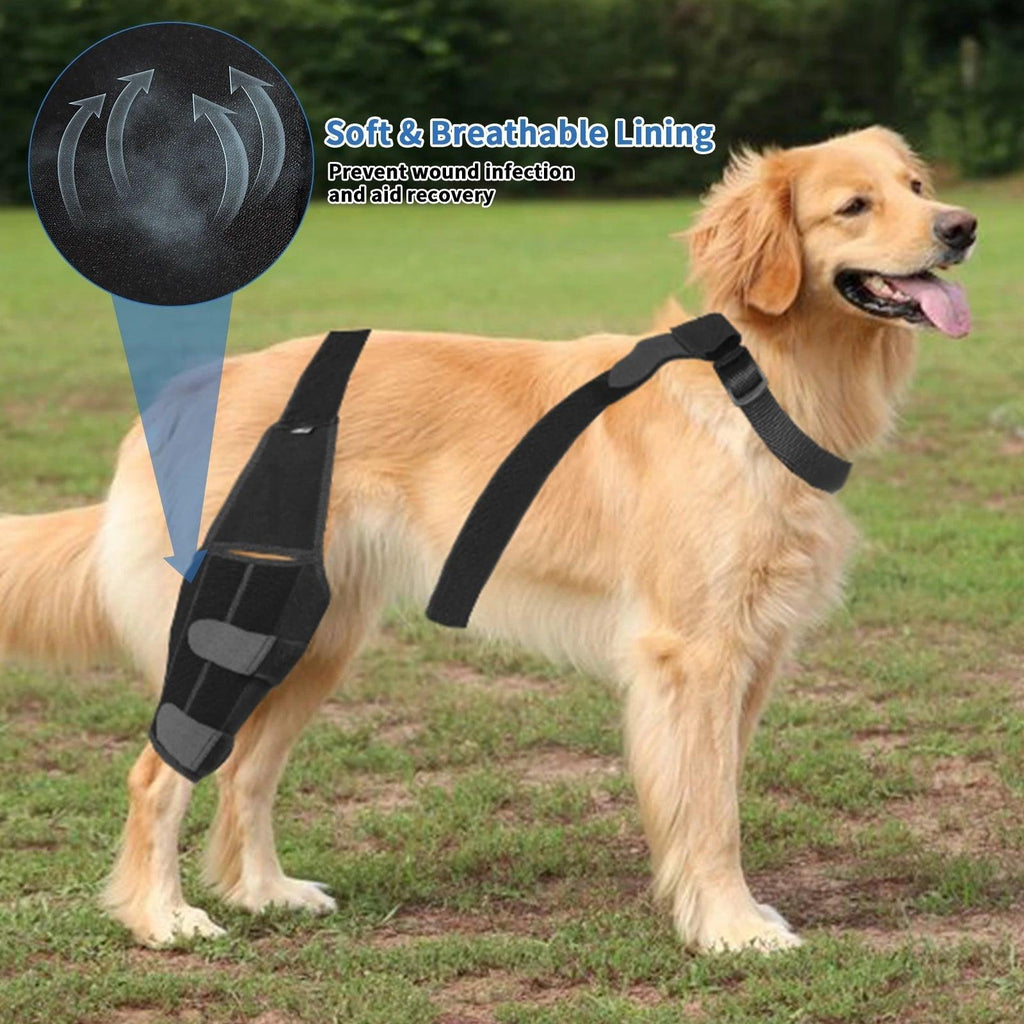 Pet Supplies Dog Knee Pad Protective Gear Surgical Injury Protective Cover - amazitshop