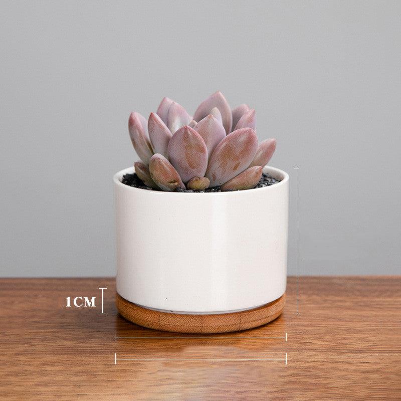 Creative Mini Desktop Short Straight Round Combination Succulent Flower Pot - amazitshop