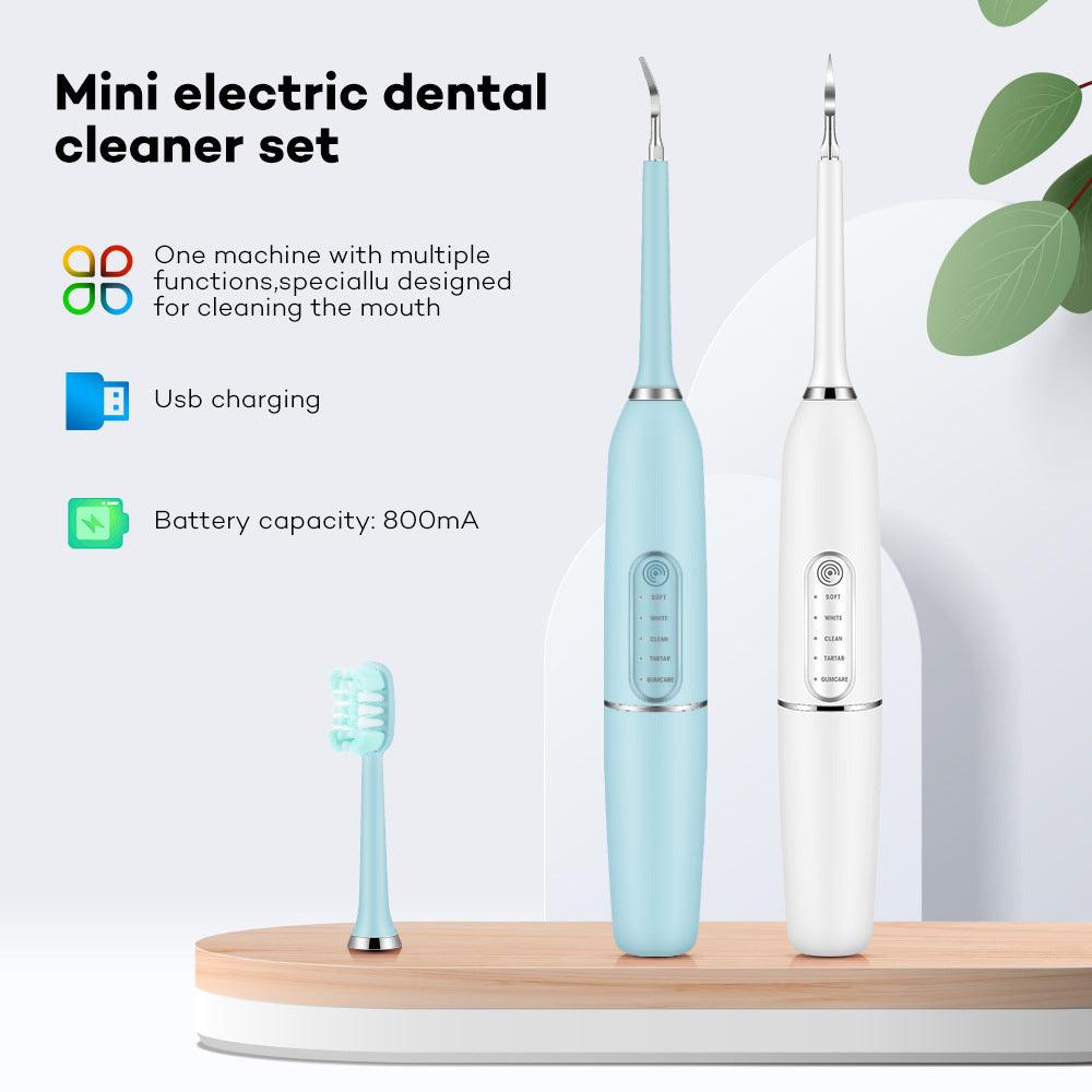 Cross-border New Arrival Removing Tartar And Calculus Water Toothpick Set Oral Care Tools Electrodynamic Instrument Teeth Cleaner - amazitshop