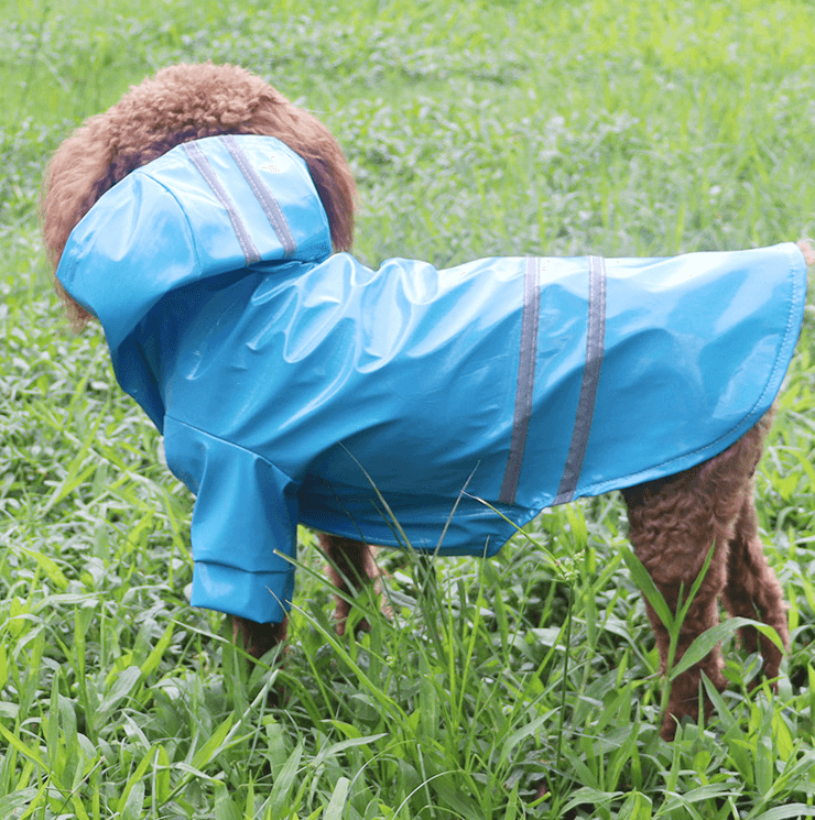 Fashion Pet Dog Clothing In Rainy Season - amazitshop