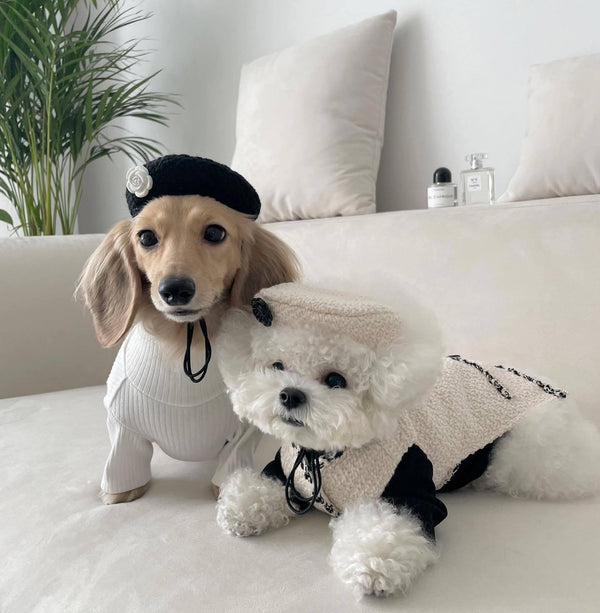 Pet Dog Cat Accessories Knitted Hat - amazitshop