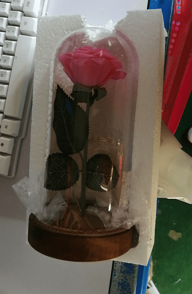 Enchanted Forever Rose Flower In Glass LED Light Christmas Decoration - amazitshop