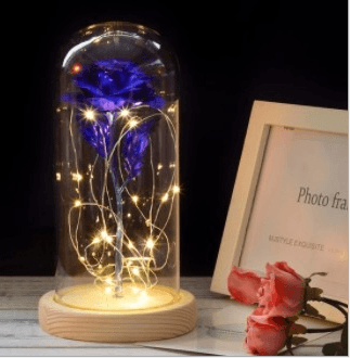 Enchanted Forever Rose Flower In Glass LED Light Christmas Decoration - amazitshop