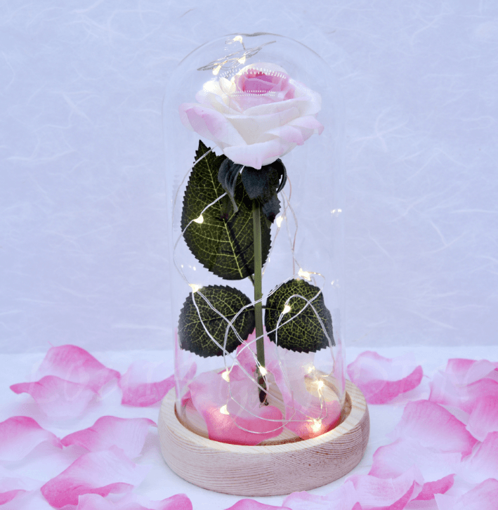 Enchanted Forever Rose Flower In Glass LED Light Christmas Decoration - amazitshop