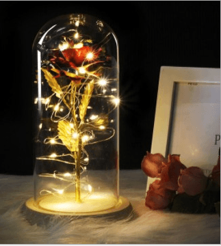 Enchanted Forever Rose Flower In Glass LED Light Christmas Decoration - amazitshop